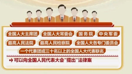 最新人大立法，推动法治进步的关键力量
