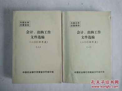 最新出纳文件及其应用分析概览
