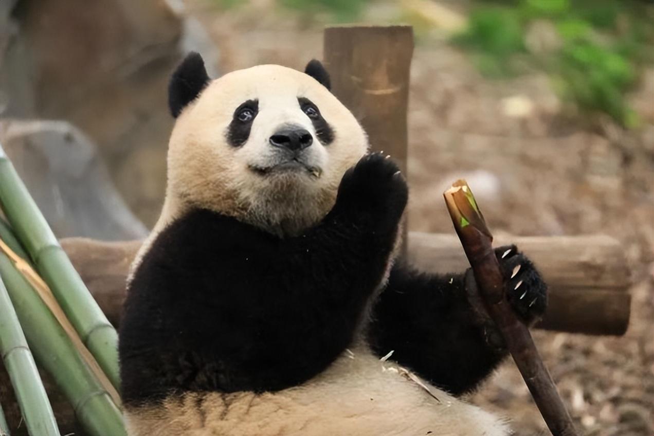 杭州落户政策最新解读，落户要求全面更新
