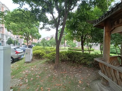 顾村最新图片展示，探索城市新面貌的独家视角