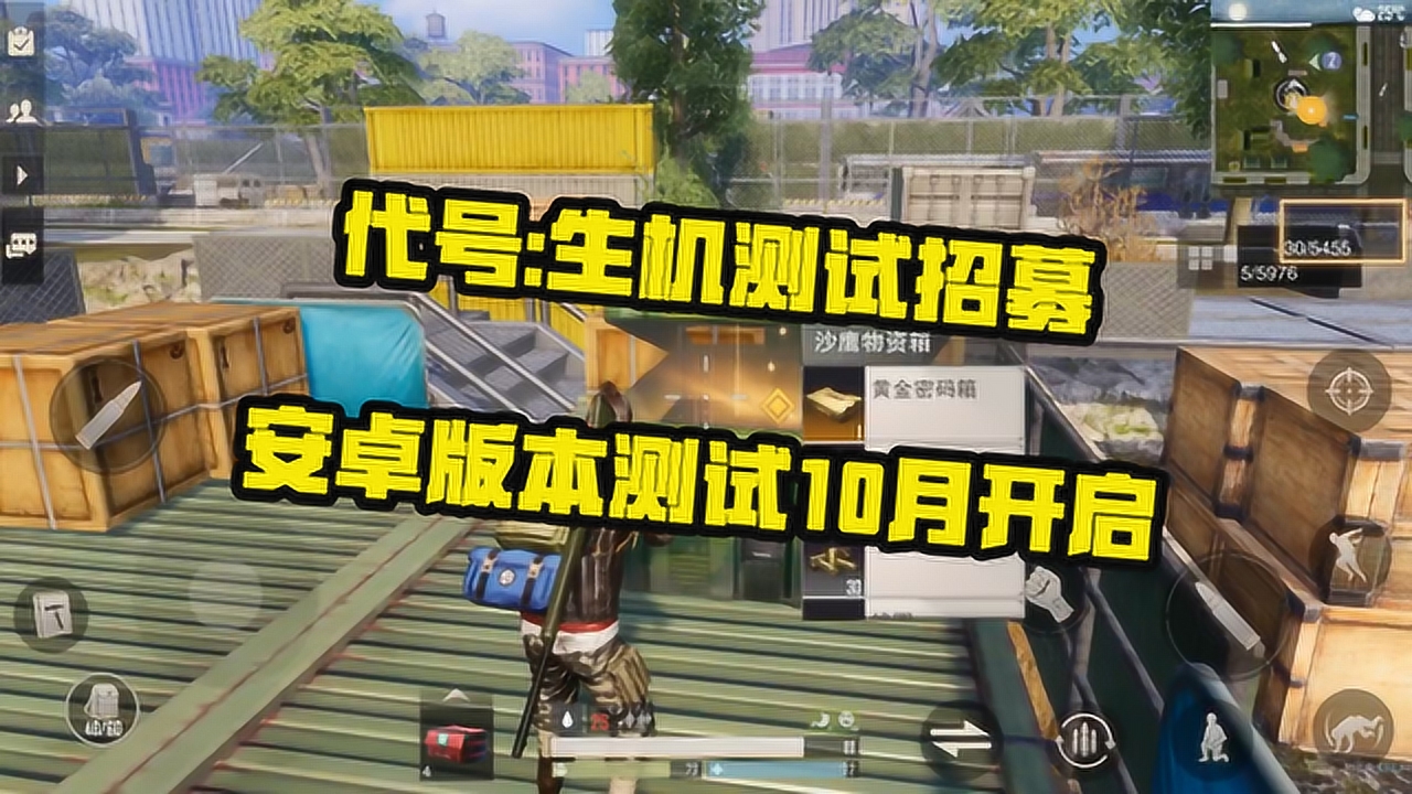 代号生机最新测试，探索未来游戏的无限潜力