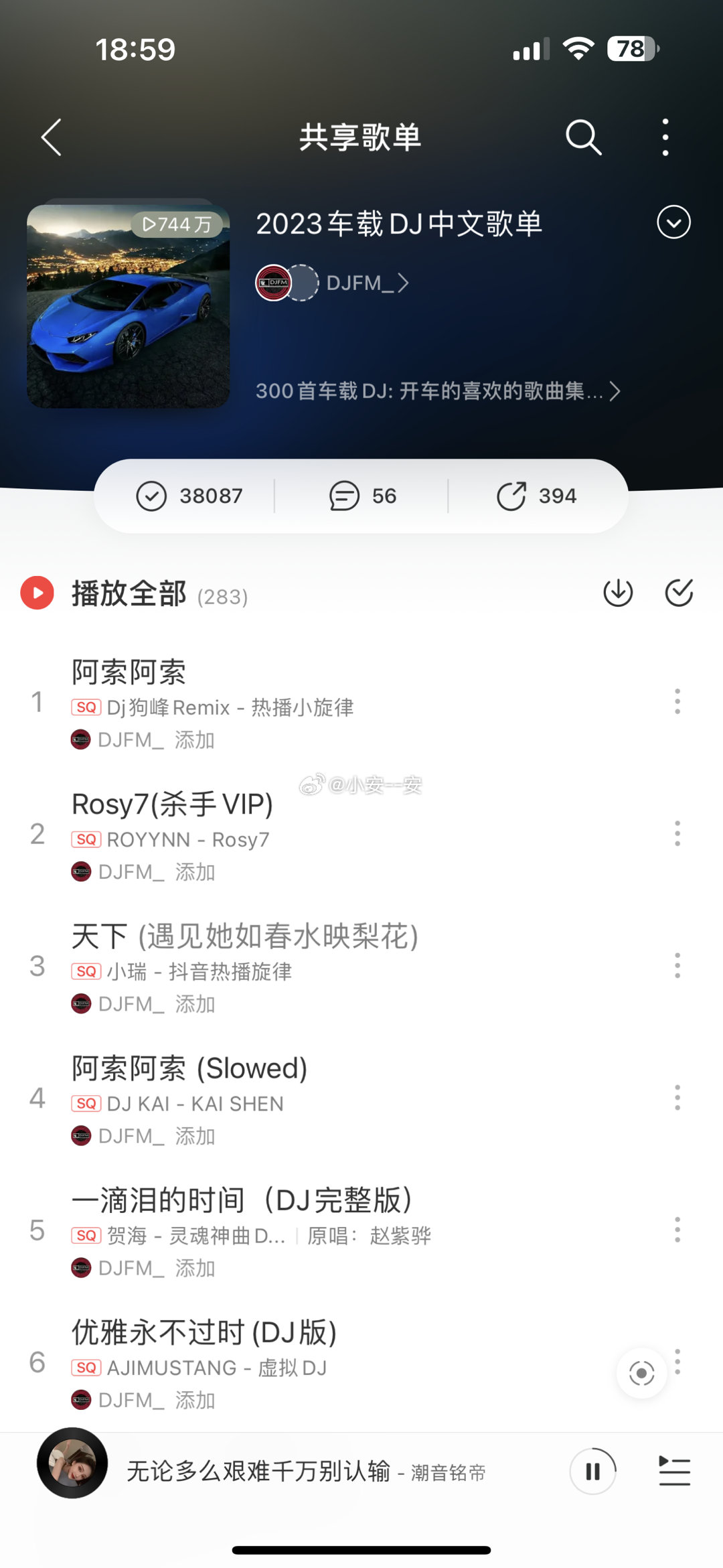 最新歌曲链接，音乐世界的探索与分享之旅