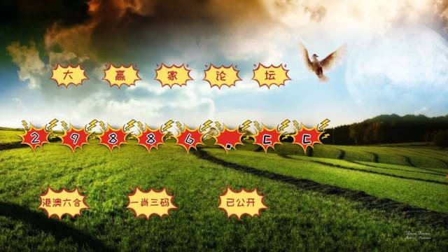 494949澳门今晚开什么454411，决策资料解释落实_网页版11.76.94