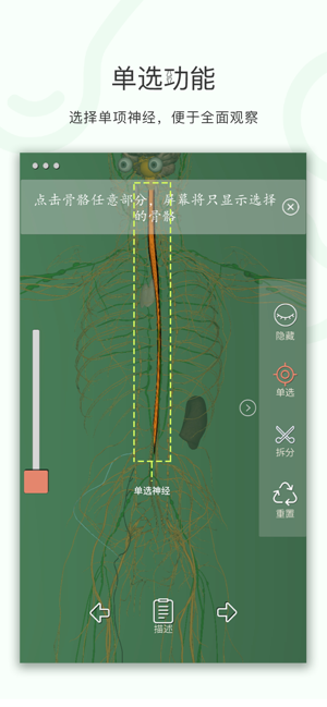 7777788888新版跑狗，绝对经典解释落实_V版63.59.53