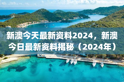 2024新澳正版资料最新更新，动态词语解释落实_战略版29.43.41