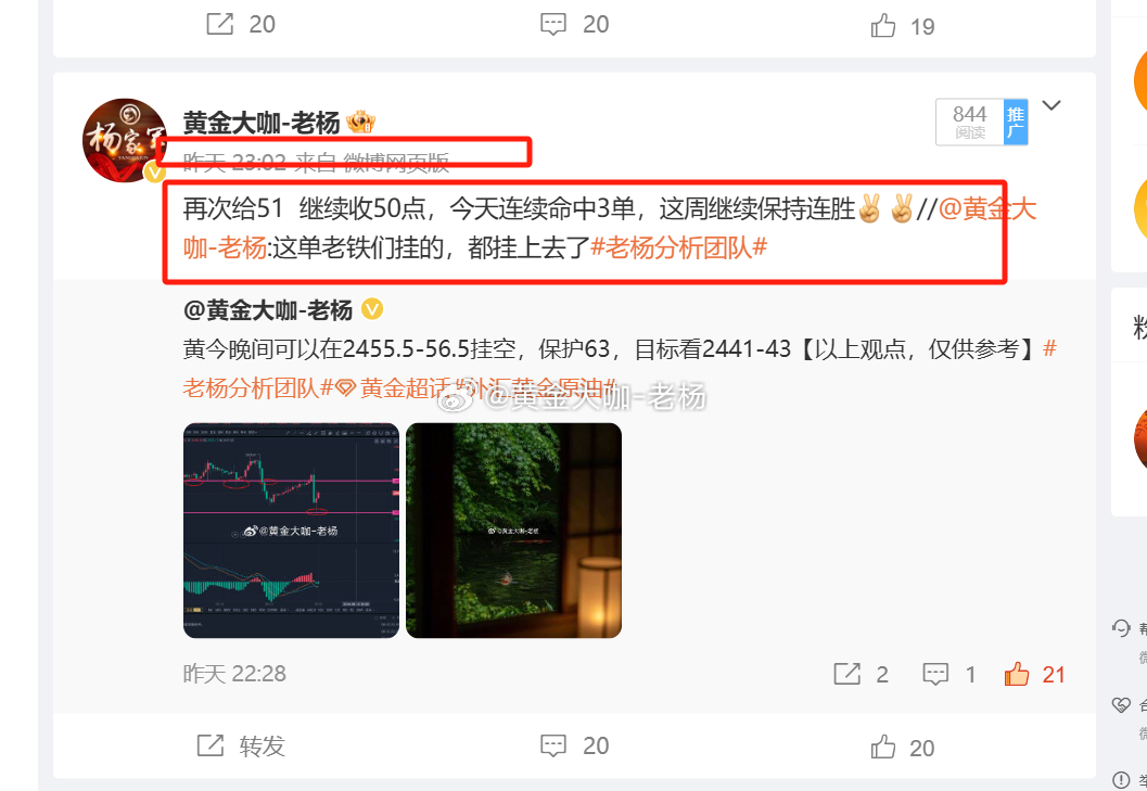 一肖一码100%，准确资料解释落实_战略版20.80.99
