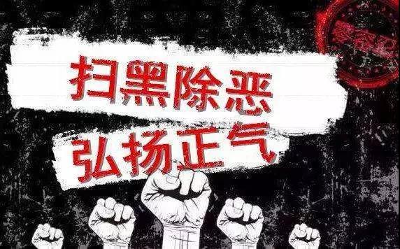 雷顿外汇最新动态，探索市场趋势与策略前沿