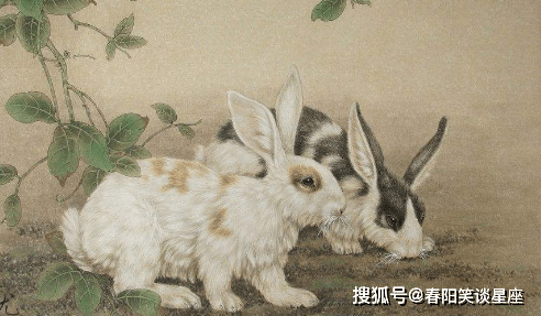 今天晚上澳门三肖兔羊蛇，预测分析说明_网红版67.62.69