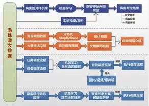 新澳最新最快资料新澳50期，精准实施分析_精装款88.93.77