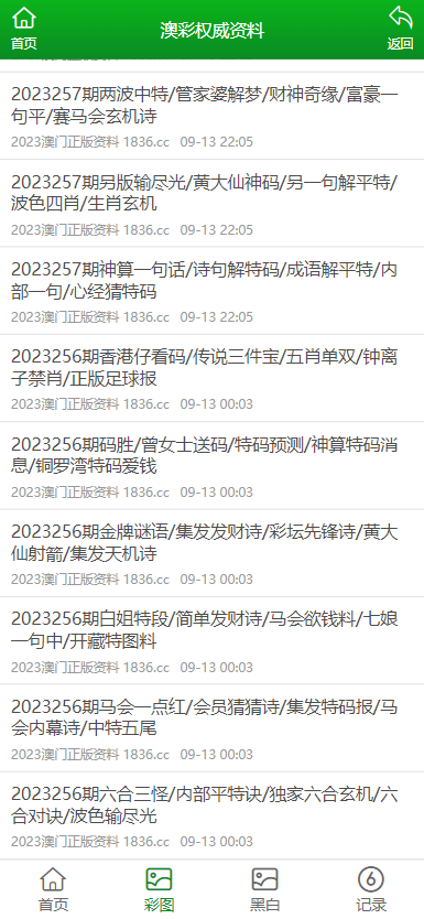 2023澳门正版资料免费公开，精细分析解释定义_黄金版29.36.10