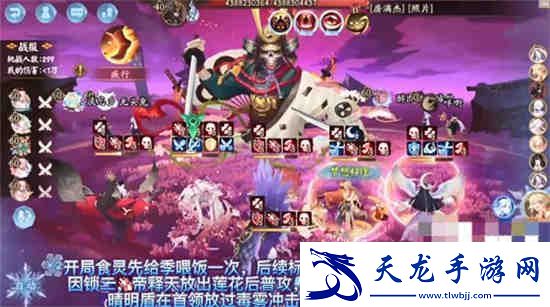荒骷髅阵容最新解析与实战应用指南