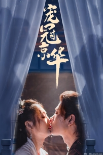 权宠京华最新，权力与魅力的璀璨交织