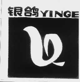 银鸽引领航空科技，开启未来出行新篇章