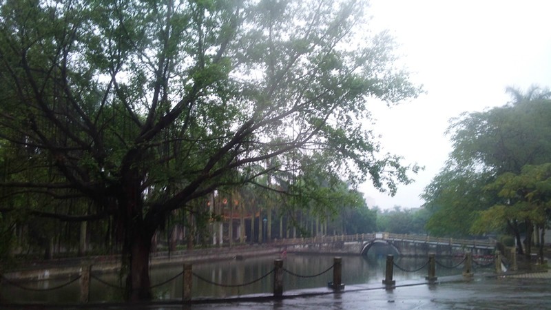 最新诗意情感解读，细雨绵绵的韵味与情感表达
