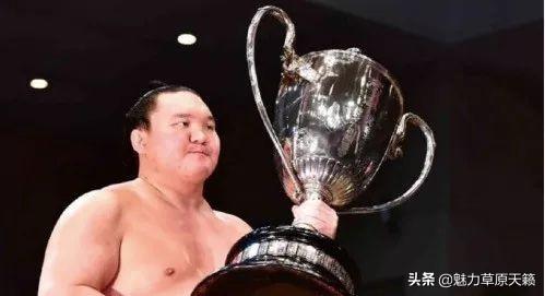 相扑巨星白鹏的最新动态更新，揭秘白鹏的最新消息与动态。