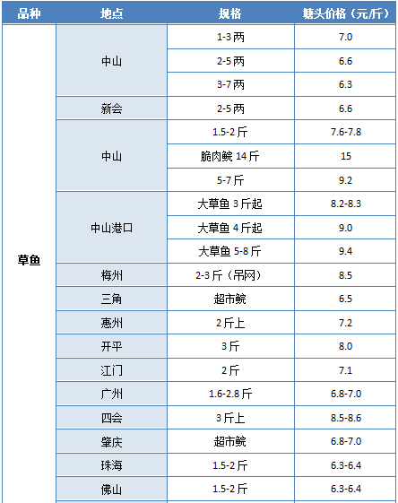 鱼价最新行情揭秘，市场走势、影响因素及未来展望分析