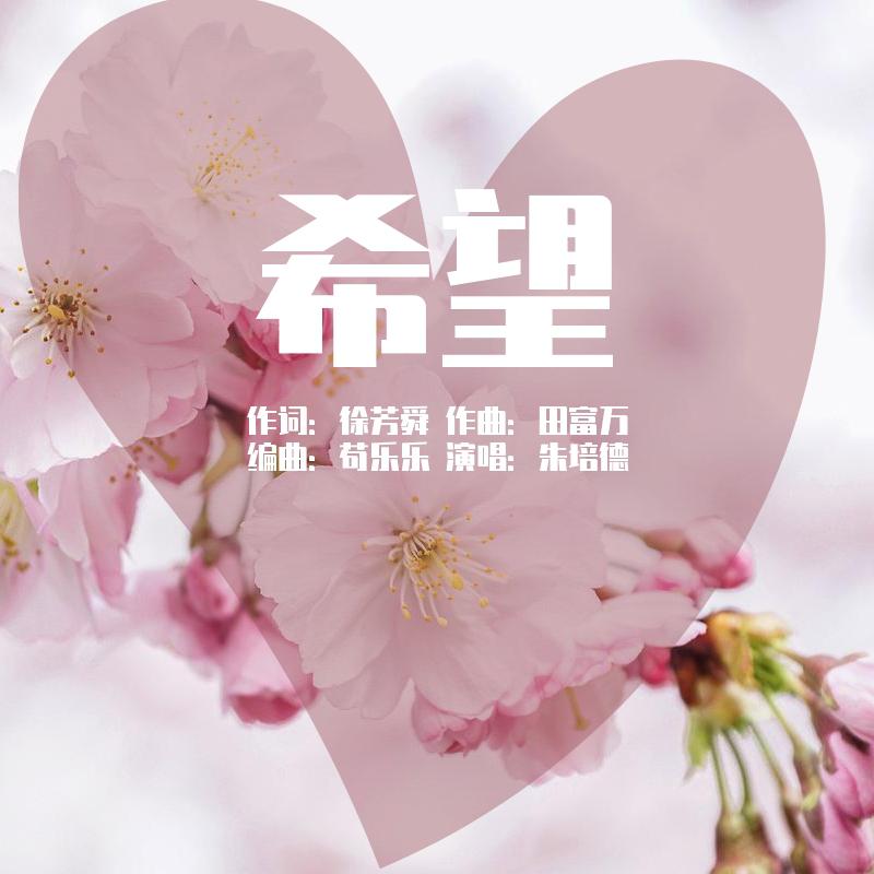 重塑未来，最新希望的光辉篇章