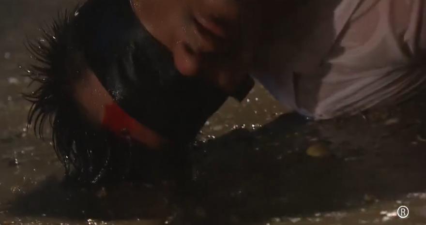 凸轮分割器 第877页