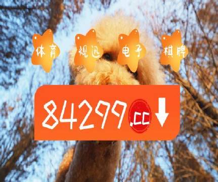 澳门天天好挂牌正版,澳门每日正版挂牌全解_娱乐版0.49
