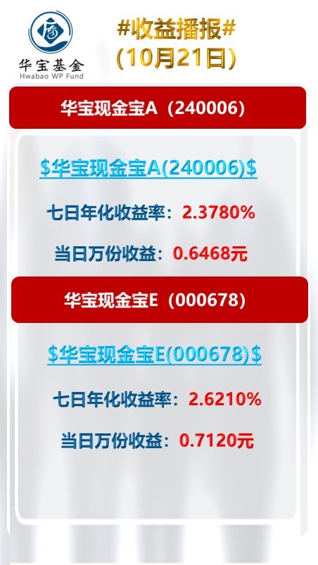 最新收益，探索、分析与展望的未来之路