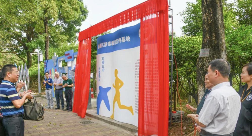 禁毒最新动态与策略，构建无毒社会的关键步骤揭秘
