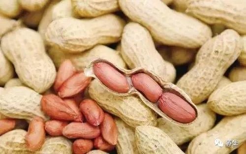 花生果最新价格行情及分析