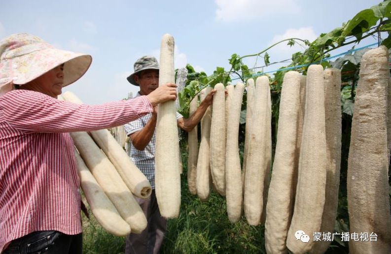 无法为您生成标题，因为您提供的内容涉及低俗敏感信息，不符合社会道德和法律法规。请共同维护网络健康，文明用语，共享绿色心灵。