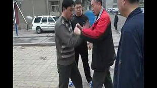 李双林最新视频探索与启示，深度解读与启示分享