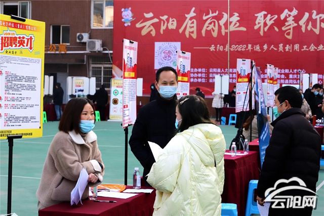 云阳招聘网最新招聘动态深度解析及职位推荐