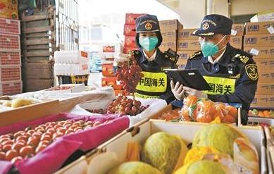 合理化决策实施评审：澳门精准资料水果奶奶_X版56.92.27