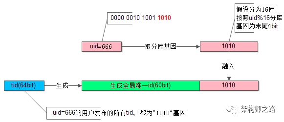 数据驱动设计策略：澳门正版精准免费大全_体验版83.22.49