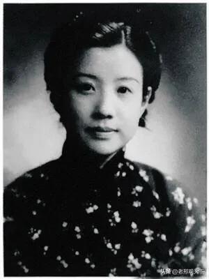最新尘封档案揭秘，探寻历史深处的未知秘密