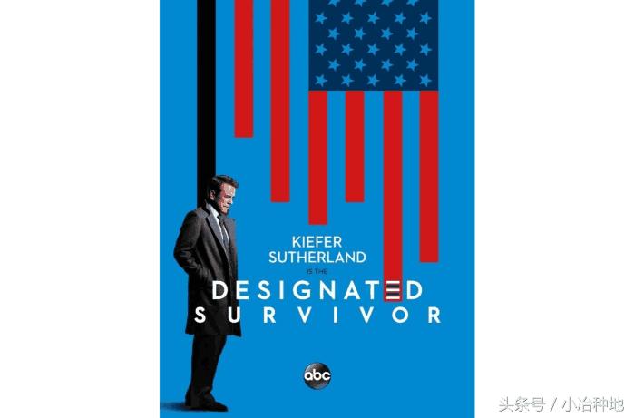 米米卡最新动态，创新支付体验，引领时代潮流