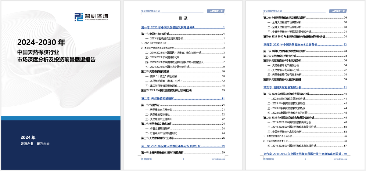 定性评估说明：2024新奥天天资料免费大全·精简版3.06