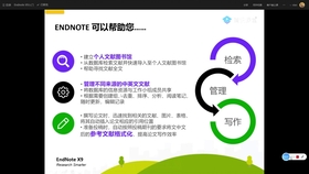 优选方案解析说明：澳门最精准免费资料大全·超清版5.59