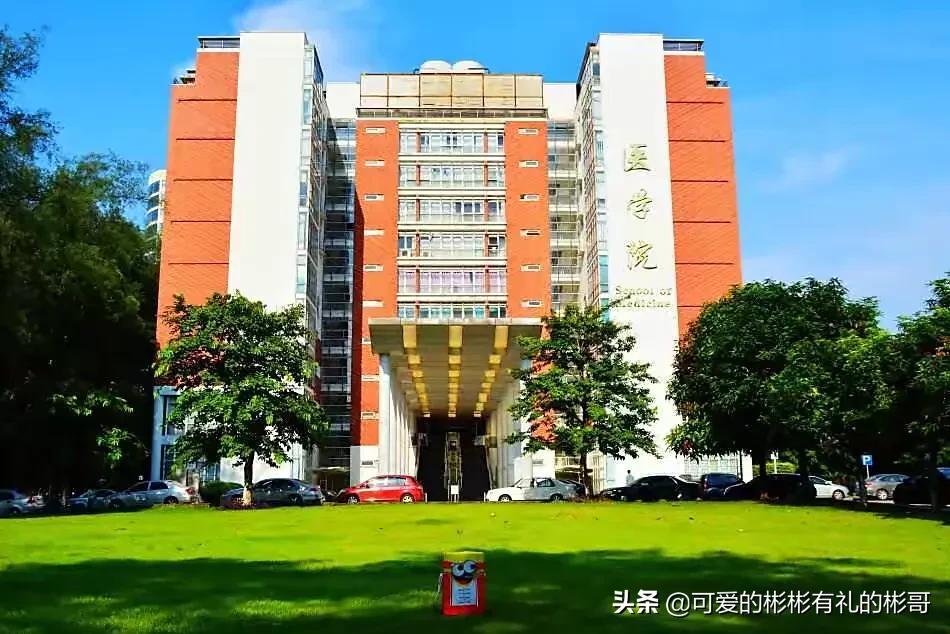 实践性计划实施：澳门今晚必开一肖1·游戏版8.46