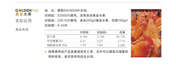 可靠评估解析：新澳好彩免费资料查询100期·标准版8.28