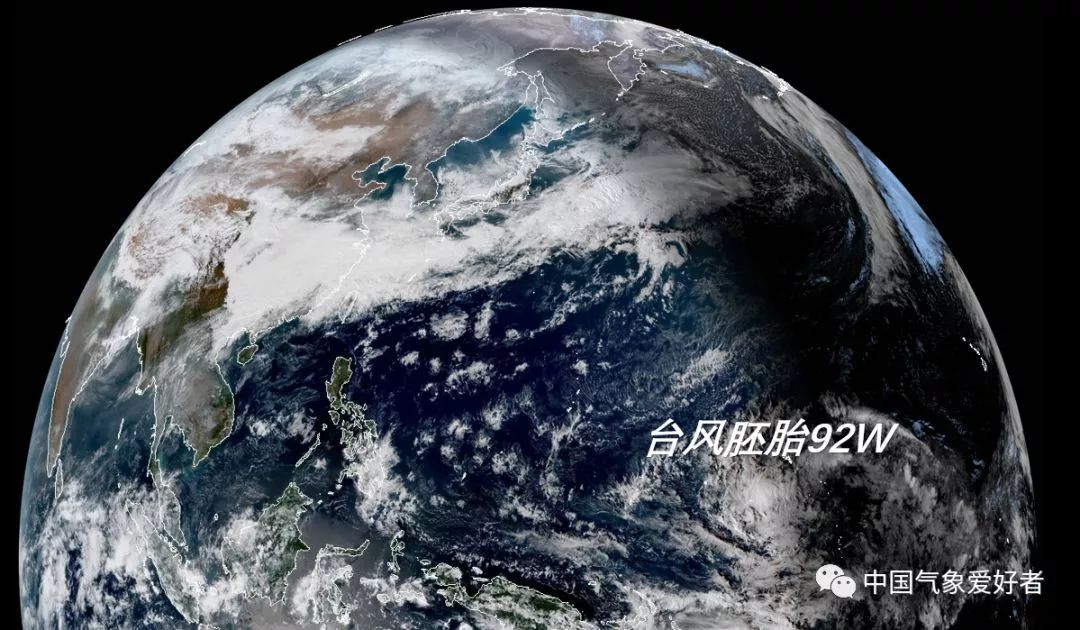 台风胚胎最新消息,可靠设计策略解析_X版41.95.27