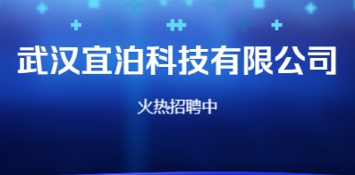 武汉最新招聘信息,定性评估解析_网页款51.37.55