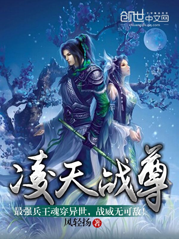 凌天战尊最新章节,创新方案解析_Advanced66.60.73