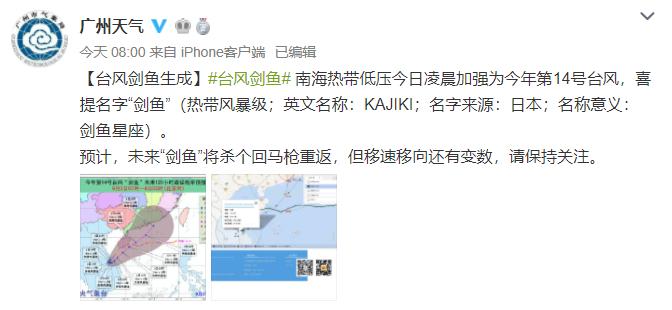 14号台风最新路径图,现状解答解释定义_微型版14.14.30