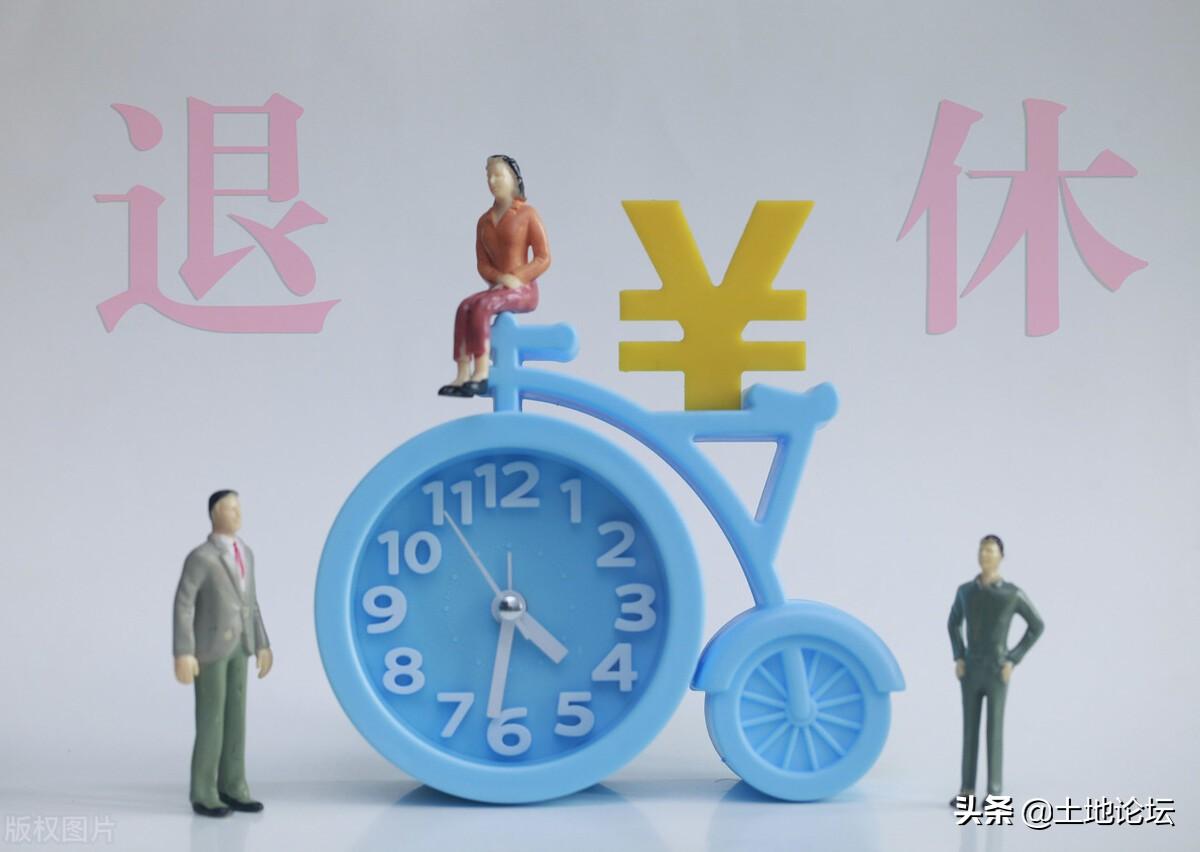 退休年龄延长最新规定,专业说明解析_R版79.82.27