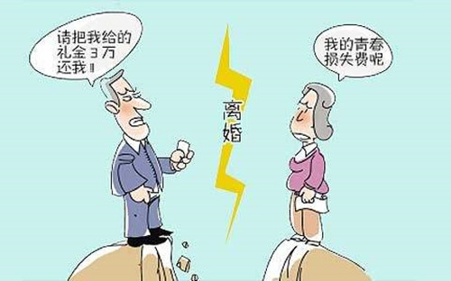 离婚财产分割原则最新法规,数据解析设计导向_Prime29.80.91