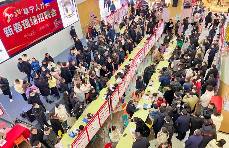 阜宁人才网最新招聘,实地策略评估数据_SP39.85.98