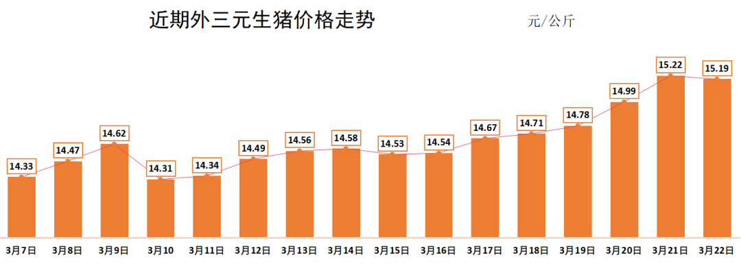 生猪价格今日猪价最新走势价格,深度调查解析说明_360132.33.30