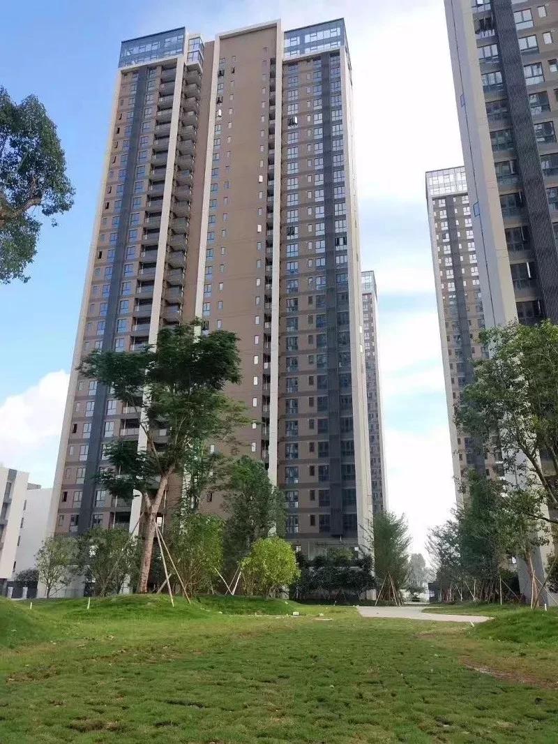 深圳新房最新出售楼盘,全面数据应用实施_PalmOS75.23.87