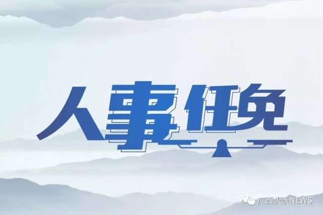 广西最新人事任免,可靠性执行方案_V94.23.56