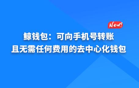 鲸钱包最新消息,快速响应方案_云端版19.47.32