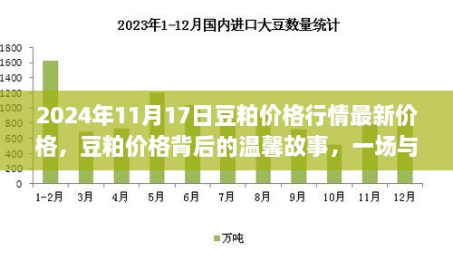 豆粕价格最新行情,社会责任方案执行_冒险款37.63.33