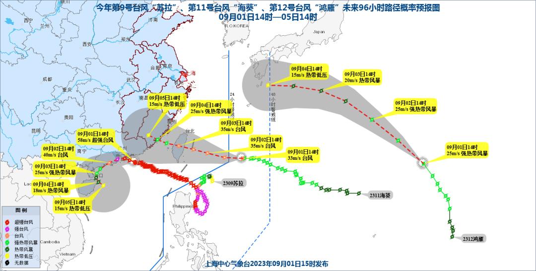 台风今天最新消息,合理决策执行审查_苹果版74.45.71